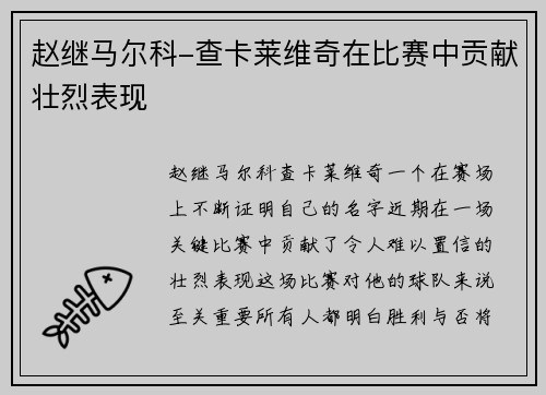 赵继马尔科-查卡莱维奇在比赛中贡献壮烈表现