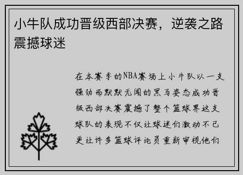 小牛队成功晋级西部决赛，逆袭之路震撼球迷