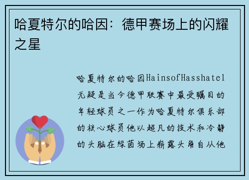 哈夏特尔的哈因：德甲赛场上的闪耀之星