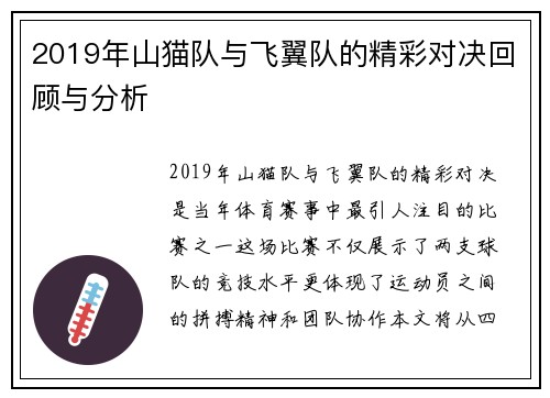 2019年山猫队与飞翼队的精彩对决回顾与分析