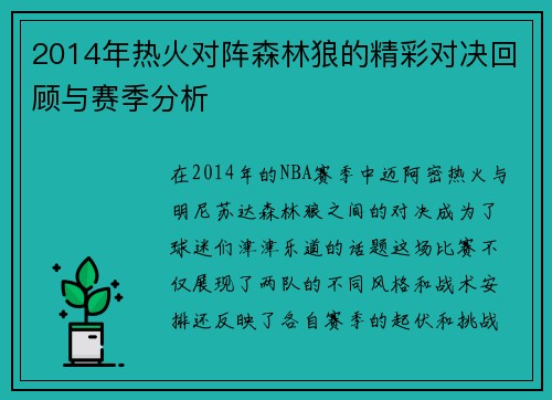 2014年热火对阵森林狼的精彩对决回顾与赛季分析