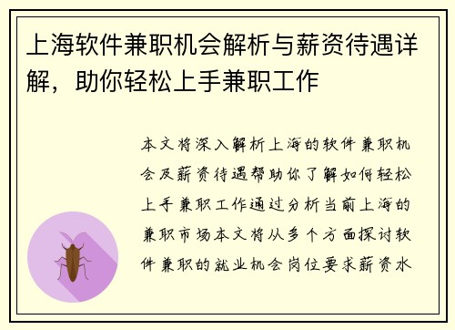 上海软件兼职机会解析与薪资待遇详解，助你轻松上手兼职工作