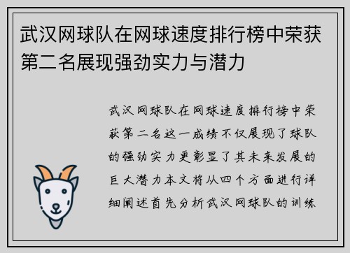 武汉网球队在网球速度排行榜中荣获第二名展现强劲实力与潜力